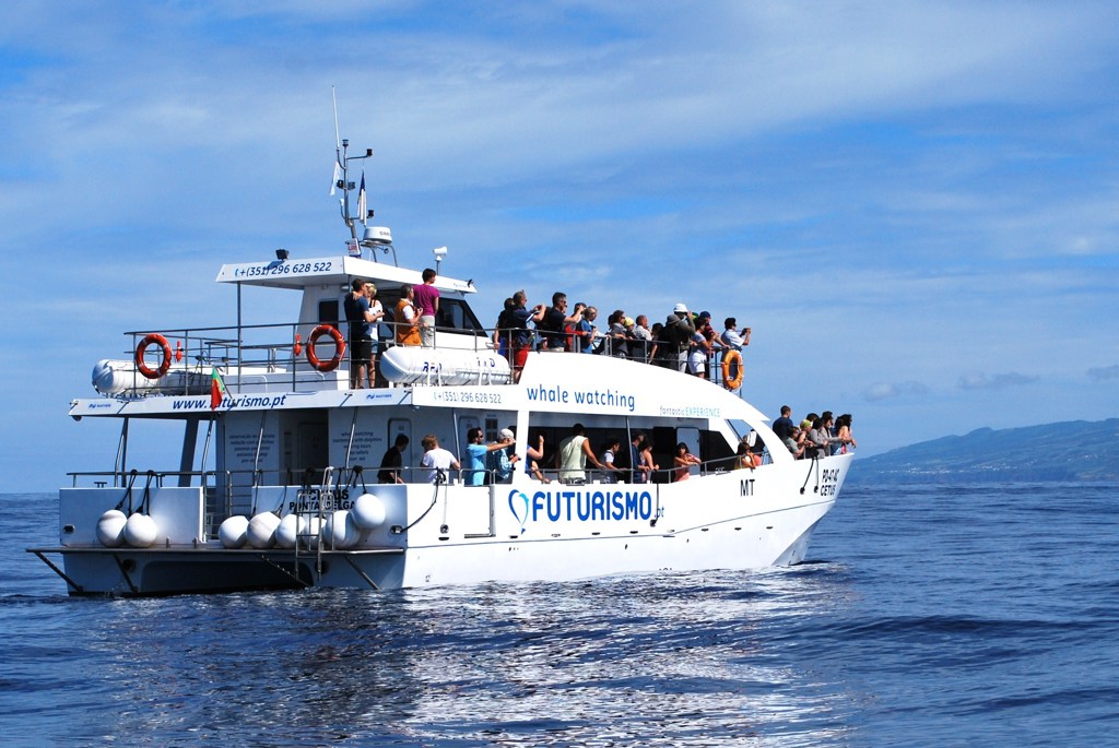 Walvissafari per boot tijdens groepsrondreis Azoren Compleet, met uitzicht op de kustlijn.