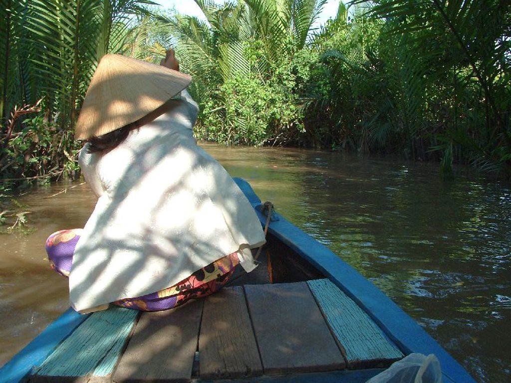 Boottocht door de Mekongdelta in Vietnam, langs palmen en groen mangrovebos.