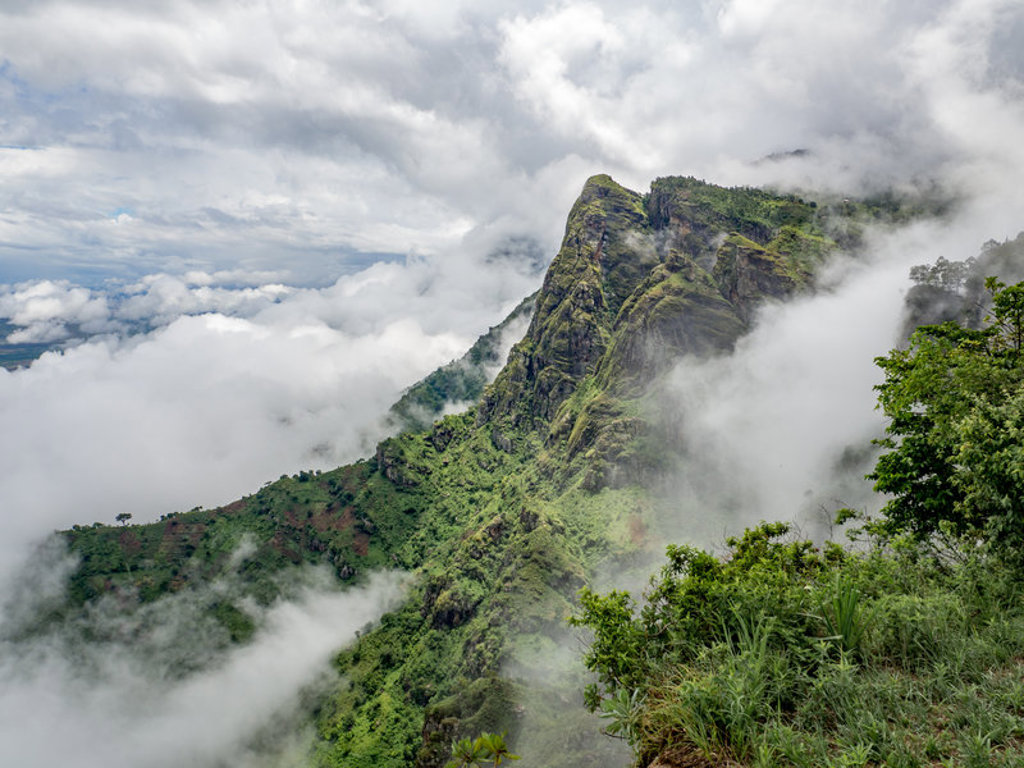 Groene bergkam in de wolken tijdens 22-35ers reis Kenia & Tanzania.