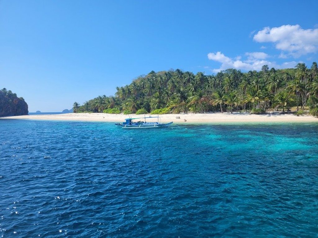 Palmbomen langs een tropisch strand tijdens een groepsrondreis door de Filipijnen.