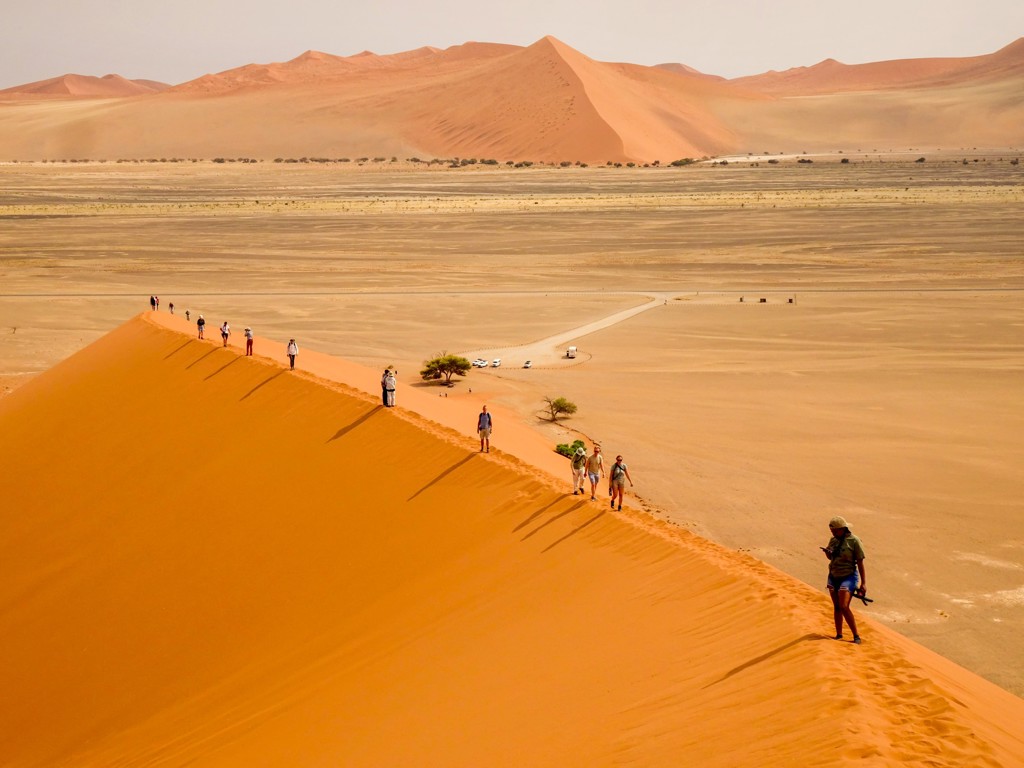 Reizigers wandelen over een hoge zandduin in de Namibwoestijn tijdens een kampeergroepsrondreis door Zuidelijk Afrika.
