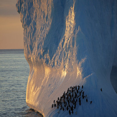 Pinguïns op een grote ijsberg in Antarctica tijdens zonsondergang.