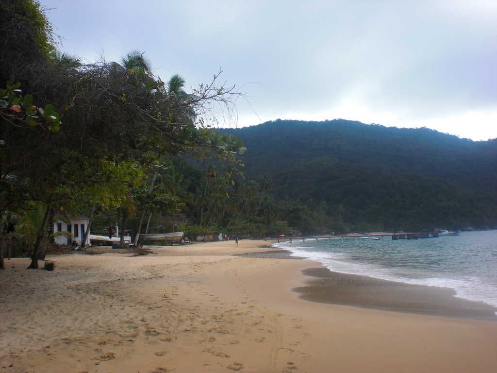 Rustig zandstrand met palmbomen en groene heuvels aan de kust van Brazilië tijdens groepsrondreis.