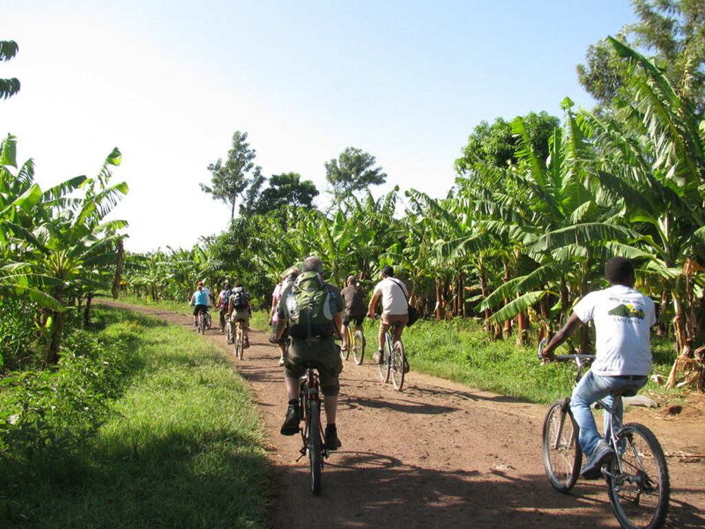 Fietstocht met groep reizigers over zandweg langs bananenplantage tijdens groepsrondreis Kenia, Tanzania en Zanzibar.