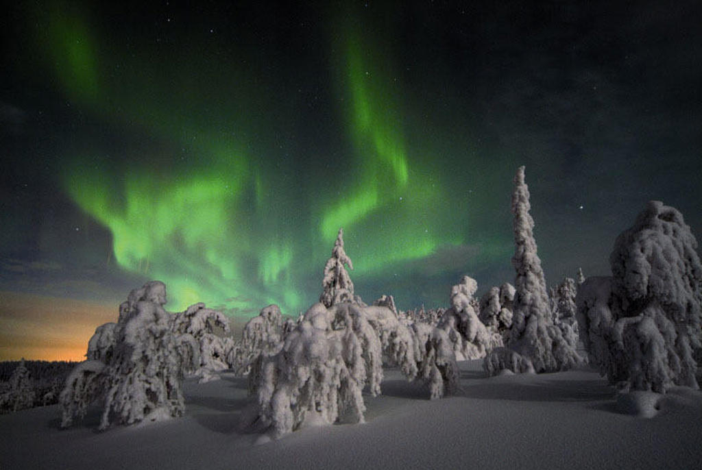 Noorderlicht boven besneeuwde bomen in Lapland, Finland.