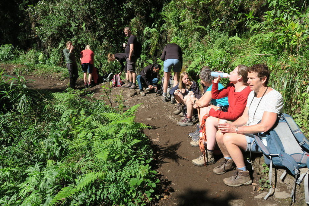 Wandelaars pauzeren op een bosrijke wandelroute op Madeira tijdens een wandelvakantie.