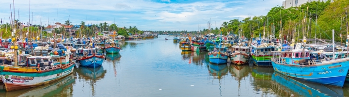 Vissersboten in de haven van Negombo, Sri Lanka.