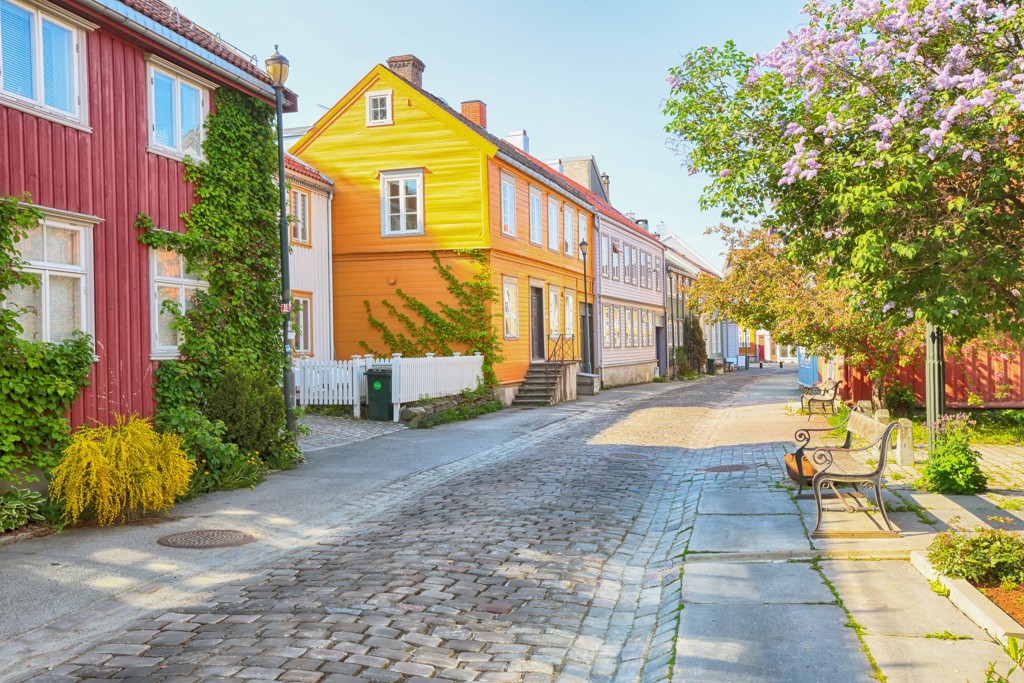 Kleurrijke houten huizen langs een rustige straat in Noorwegen tijdens een groepsrondreis.