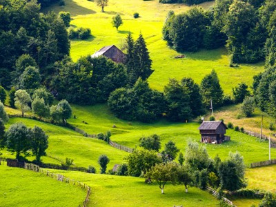 Groene heuvels met houten boerderijen en weilanden in Roemenië tijdens de Route Roemenië.