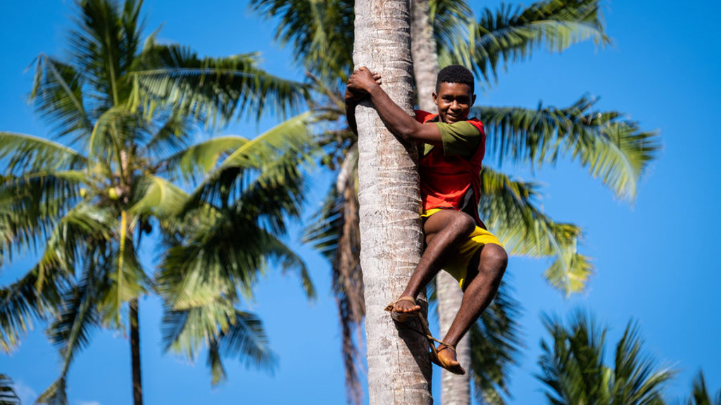 Jongen klimt in een palmboom op Zanzibar tijdens familiereis Kenia, Tanzania en Zanzibar.