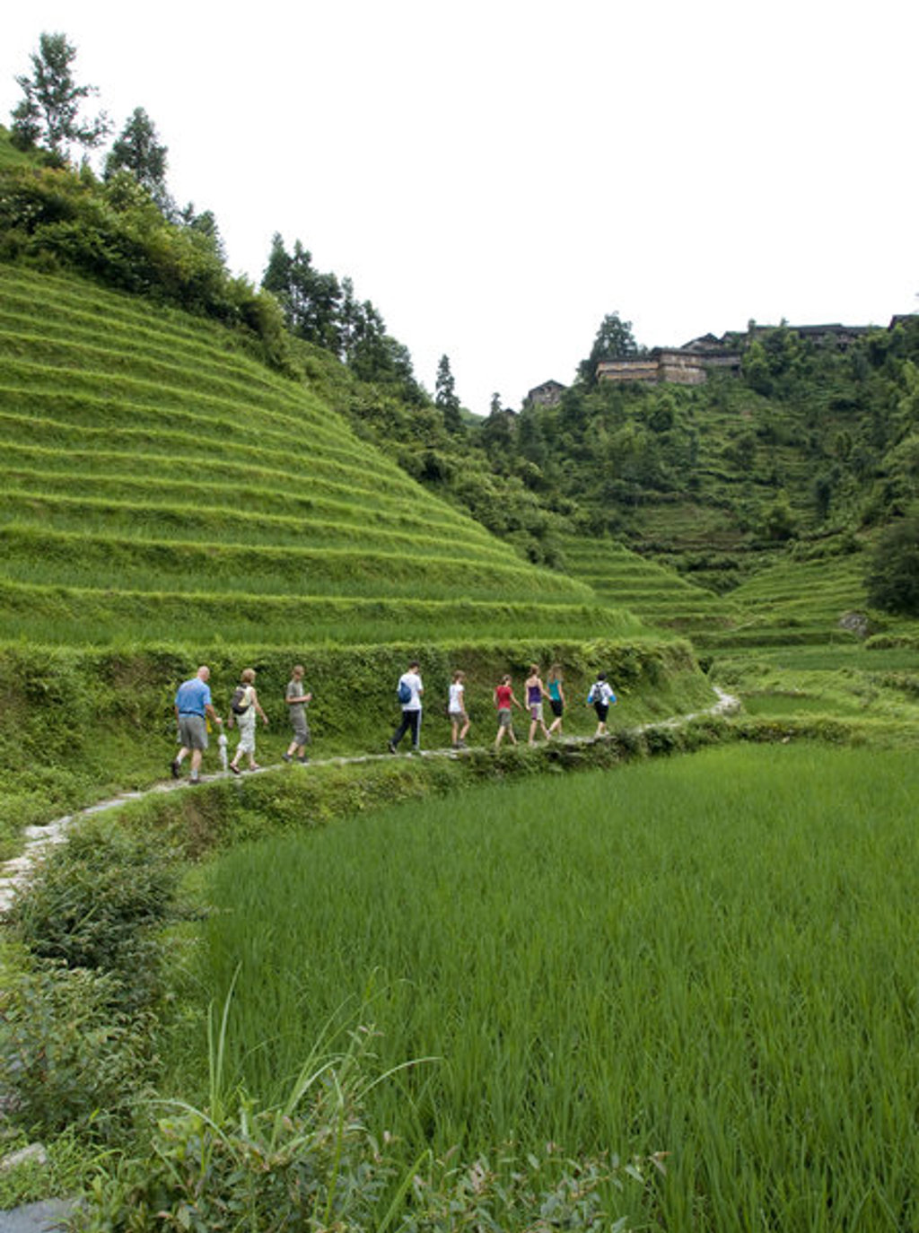 Wandelaars langs rijstterrassen in groen berglandschap tijdens groepsrondreis China.