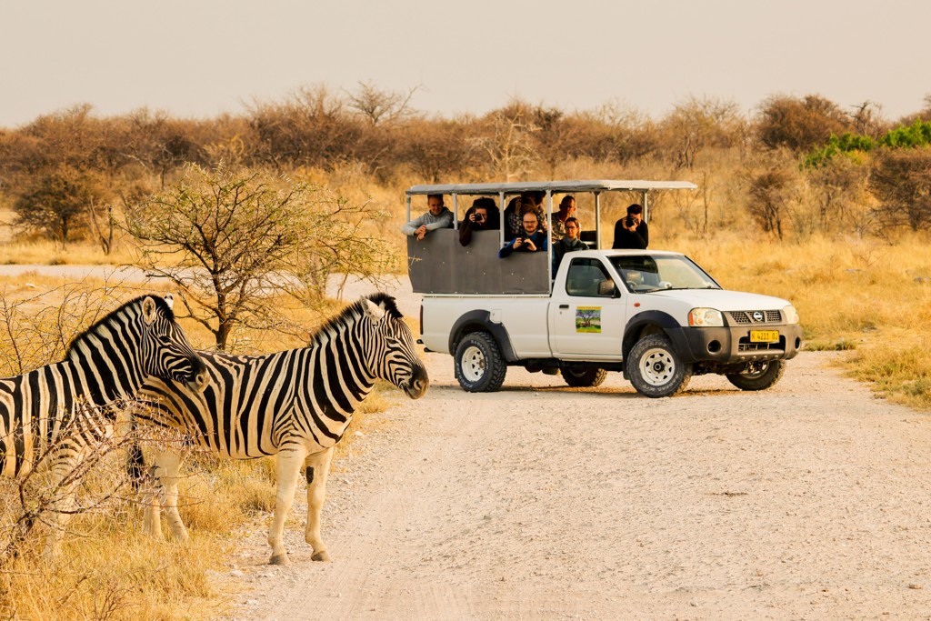 Zebra’s langs de weg bij een safariwagen tijdens een groepsrondreis Zuidelijk Afrika kampeerreis.