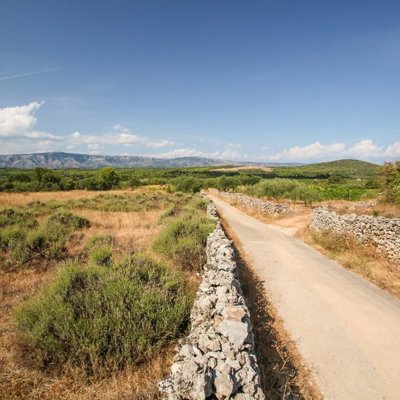 Groepsrondreis Fietsvakantie Balkan: fietsen langs de Kroatische kust met uitzicht op zee en eilanden.