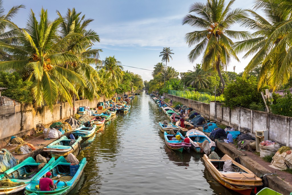 Kanaal met kleurrijke vissersboten en palmbomen in Sri Lanka tijdens een 22-35ers groepsrondreis.