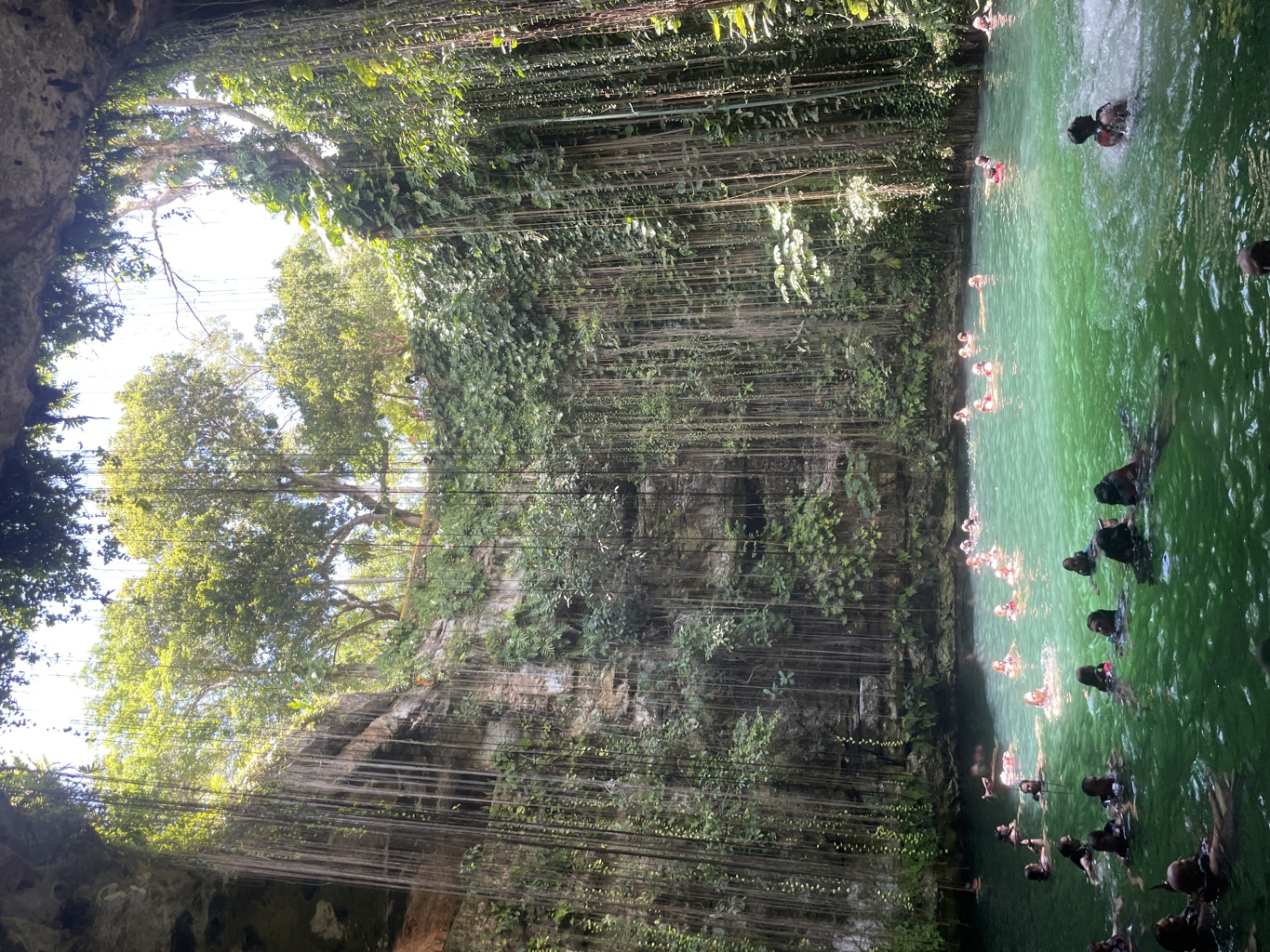 Zwemmen in een cenote met hangende lianen in de jungle van Mexico tijdens een familiereis.