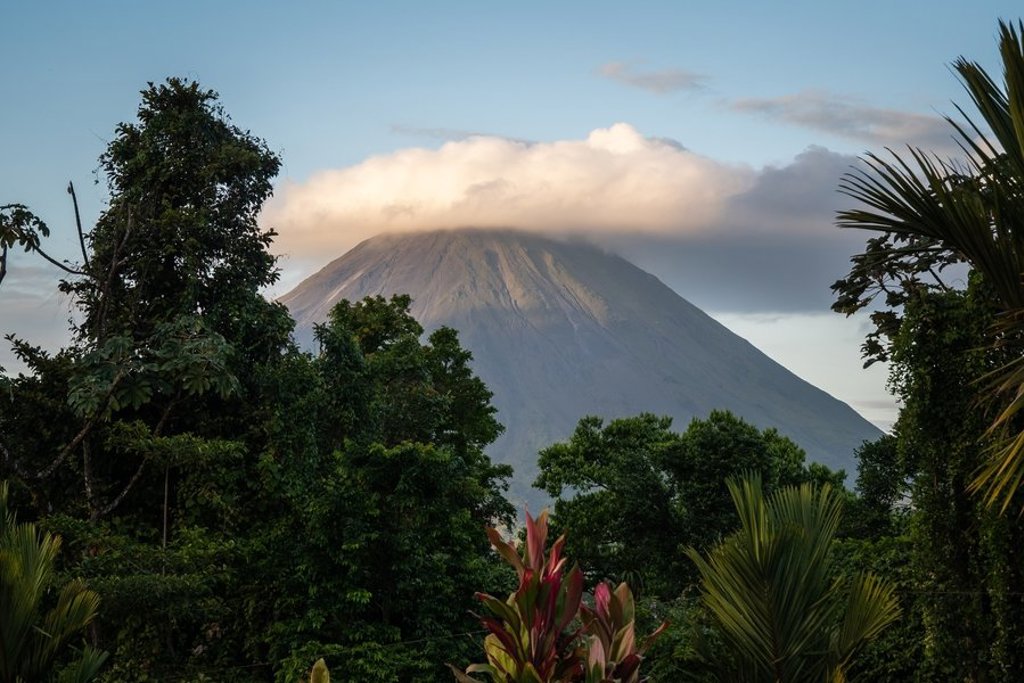 Tropisch regenwoud in Costa Rica met hoge palmbomen en mistige bergen tijdens een 22-35ers reis.