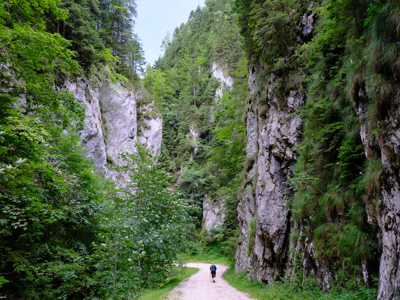 Wandelaar op pad door een groene kloof met steile rotswanden langs de route in Roemenië.