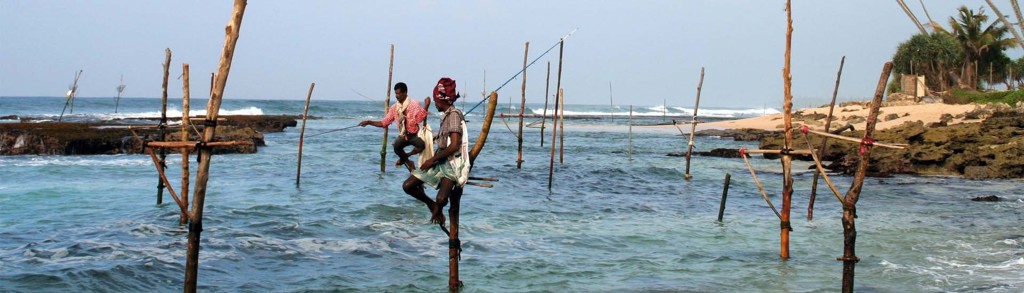 Steltvissers aan de kust van Sri Lanka, een iconisch beeld tijdens een familiereis Sri Lanka.