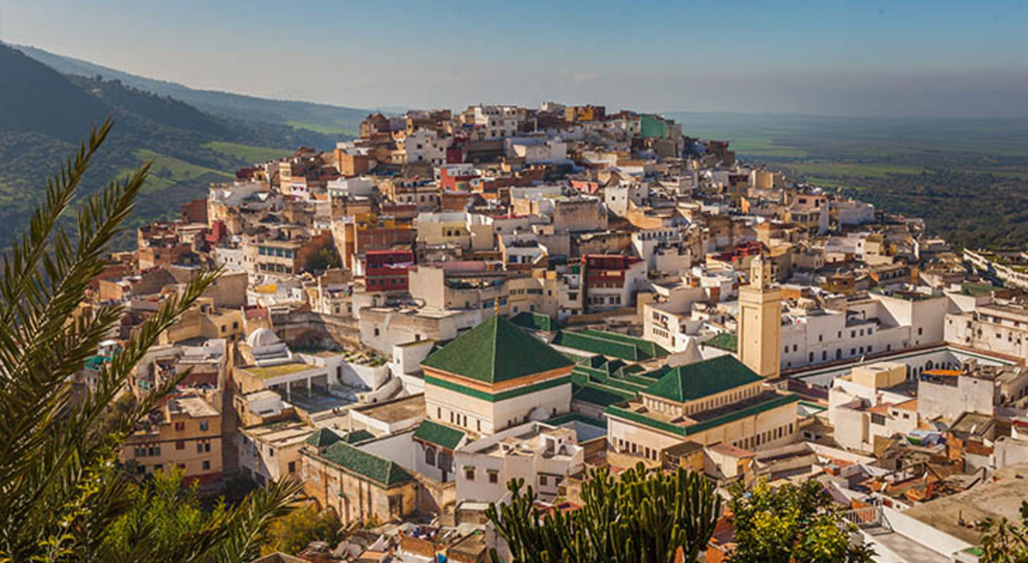 Panoramisch uitzicht op Moulay Idriss, Marokko, met witte huizen en moskeeën op een heuvel.