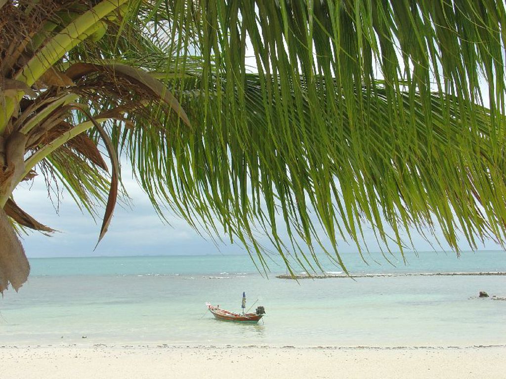 Tropisch strand in Thailand met palmbladeren en een longtailboot op helderblauw water.