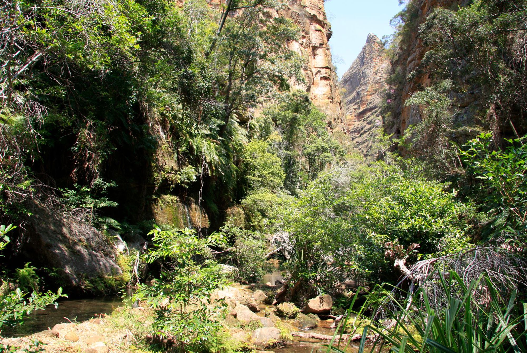 Groene kloof met rivier en hoge rotswanden in Madagaskar.