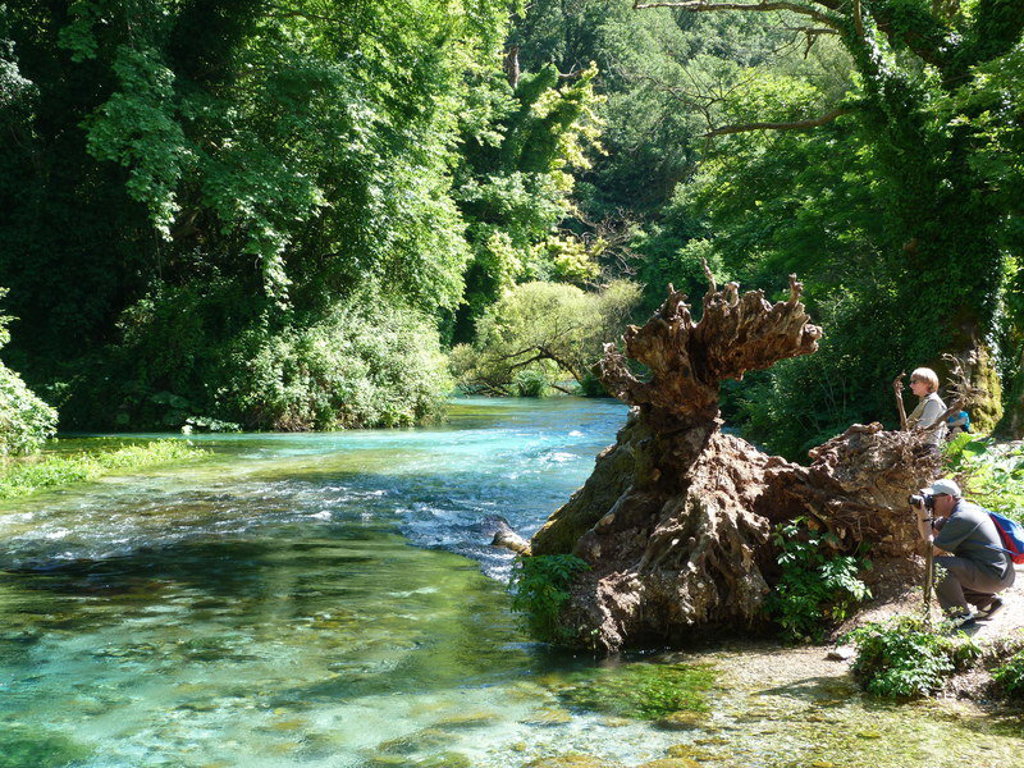 Helderblauwe rivier in een groen bos in Albanië, met wandelaars aan de oever bij een boomstronk.