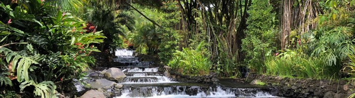 Trapsgewijze warmwaterbronnen van Tabacon Hot Springs, omringd door tropische jungle in Costa Rica.