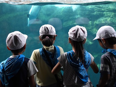 Kinderen kijken naar orka’s achter het glas in een aquarium tijdens de familieroute Japan.