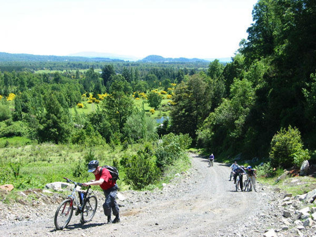 Wandelaars met fietsen op een grindpad in het groene landschap van Patagonië tijdens een groepsrondreis.
