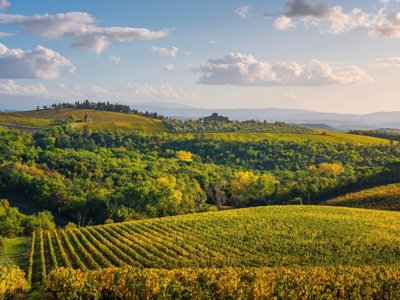 Cypressen en glooiende heuvels in Toscane tijdens een fietsreis.