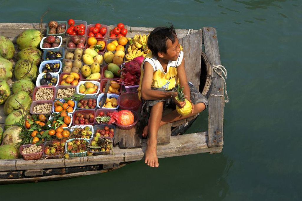 Fruitverkoopster op een boot met tropisch fruit op de drijvende markt in Vietnam, tijdens een familiereis.