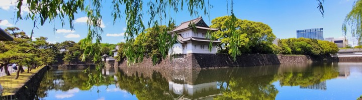 Uitzicht op het Imperial Palace in Tokyo met wachttoren en gracht, omringd door groen.