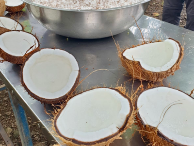 Gehalveerde kokosnoten en kom met geraspte kokos op tafel tijdens Route Costa Rica .