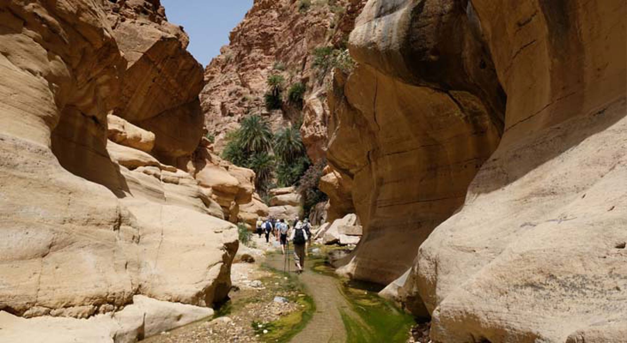 Luchtballonvaart boven woestijnlandschap in Jordanië.