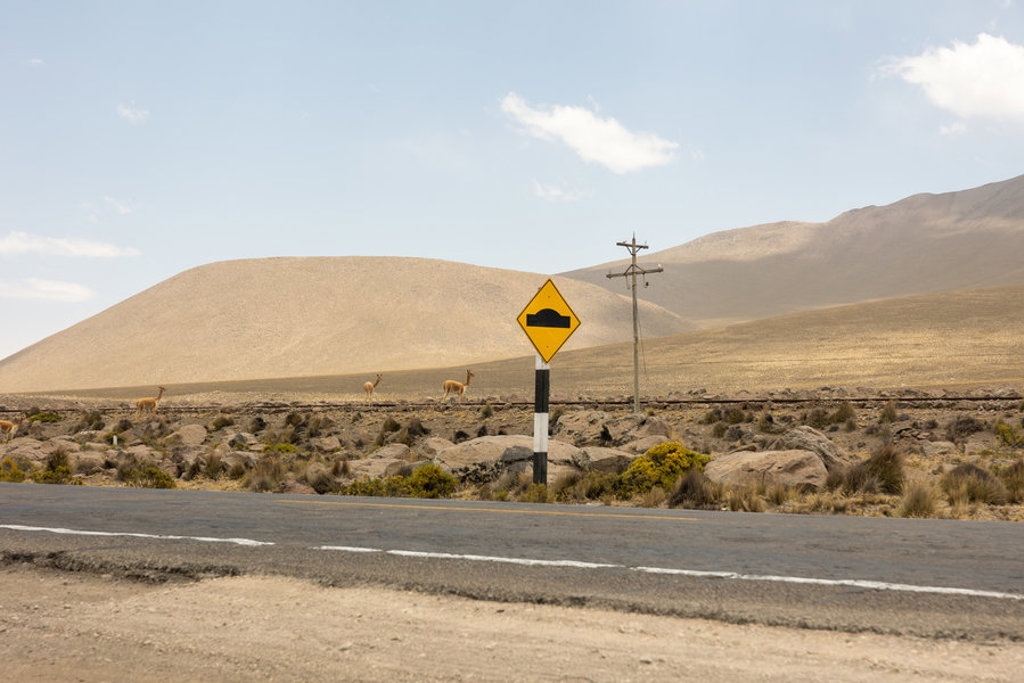 Weg door het Andeslandschap in Peru met vicuña’s en verkeersbord voor drempel.