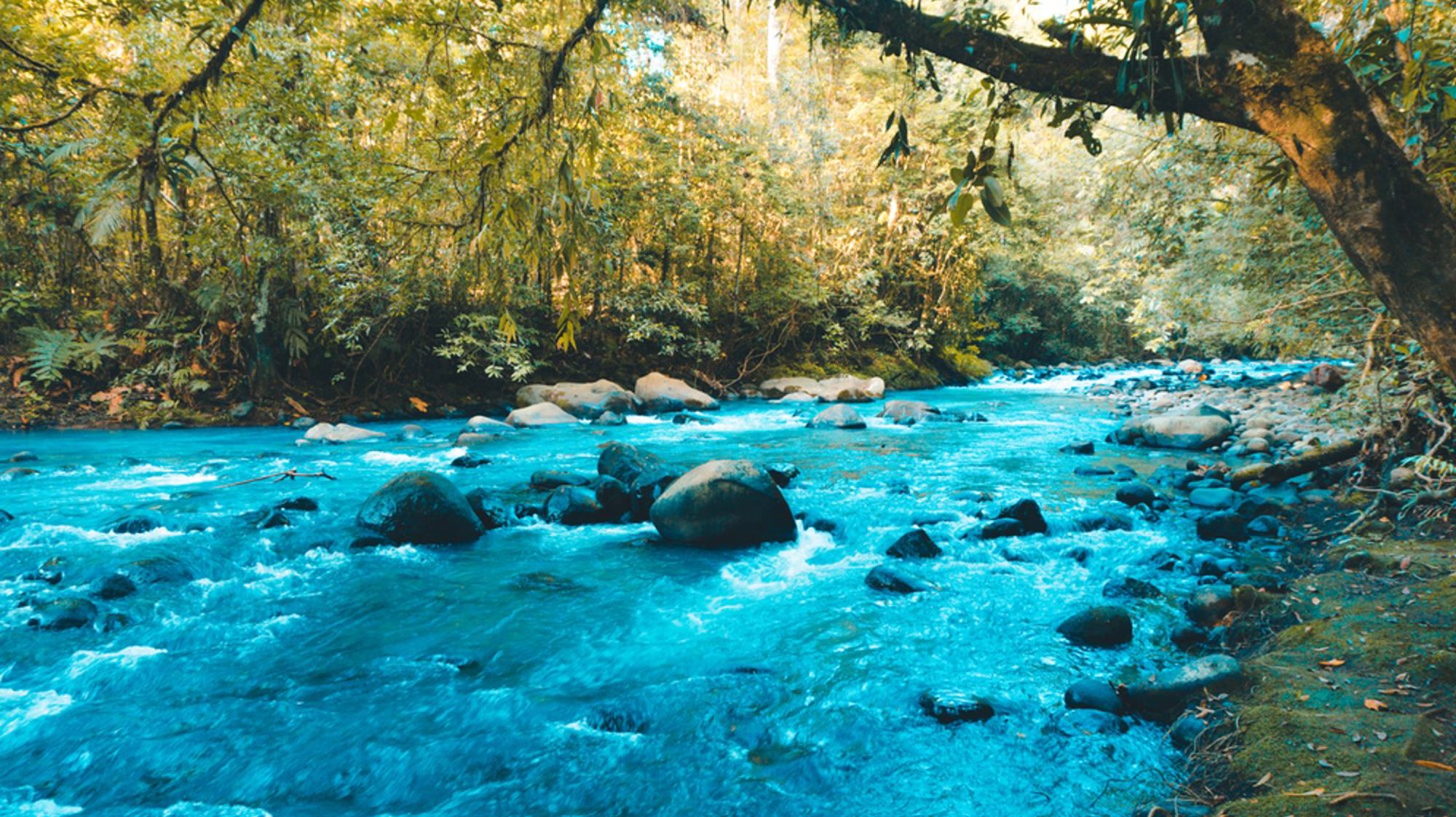 Turquoise rivier met rotsen in het regenwoud van Costa Rica.