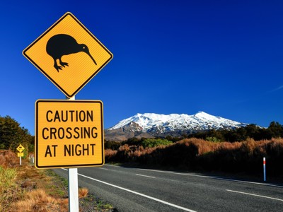Kiwi-waarschuwingsbord langs de weg met besneeuwde bergen op de achtergrond, Route Nieuw-Zeeland.