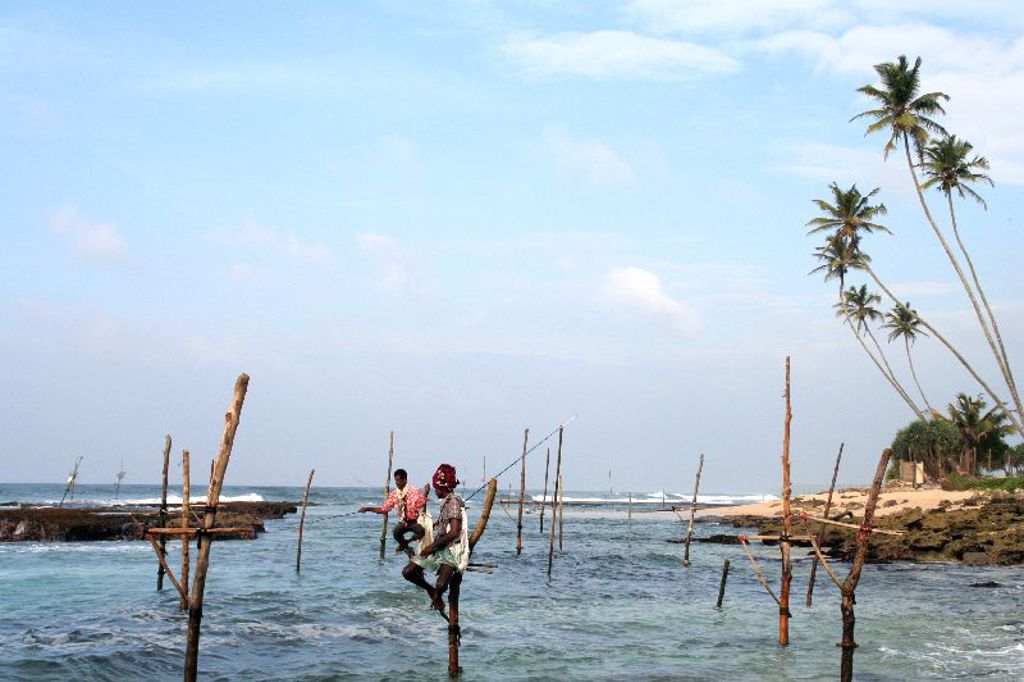 Steltvissers op palen in zee bij de kust van Sri Lanka, met palmbomen op de achtergrond.