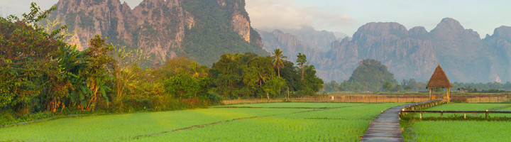 Groene rijstvelden in Laos met houten wandelpad en berglandschap op de achtergrond.