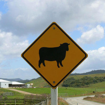 Waarschuwingsbord voor overstekende schapen op het platteland van Nieuw-Zeeland tijdens een groepsrondreis.