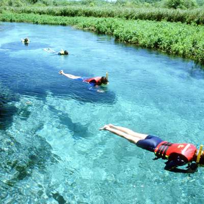Snorkelaars drijven in helderblauw rivierwater tijdens de snorkelexcursie in Bonito.