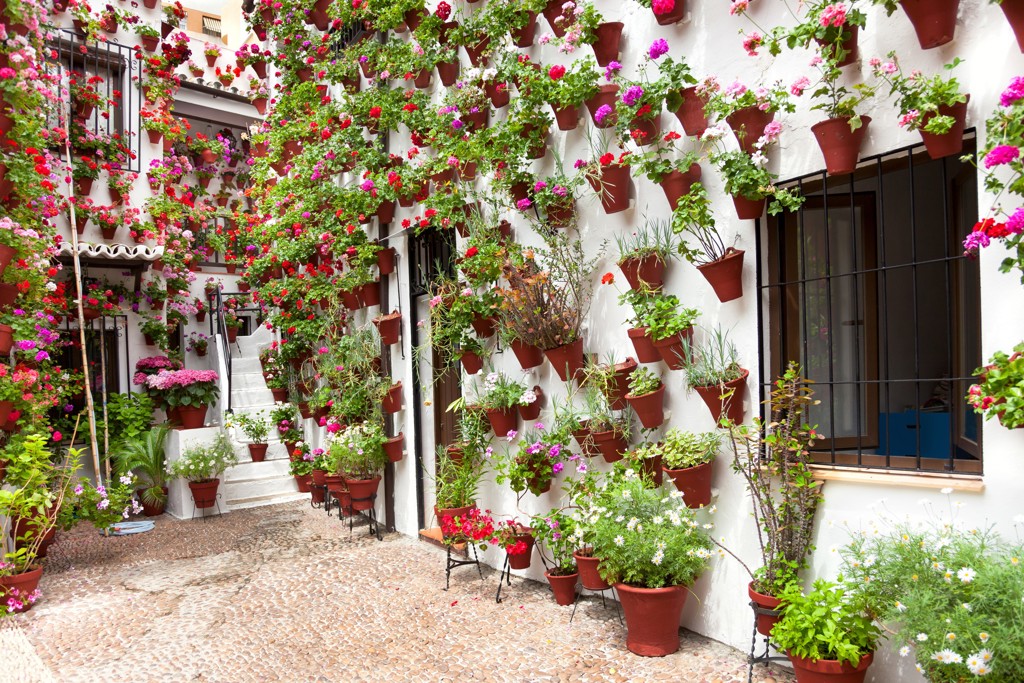 Bloemenpatio met witte muren en terracotta potten vol kleurrijke bloemen in Andalusië, Spanje.