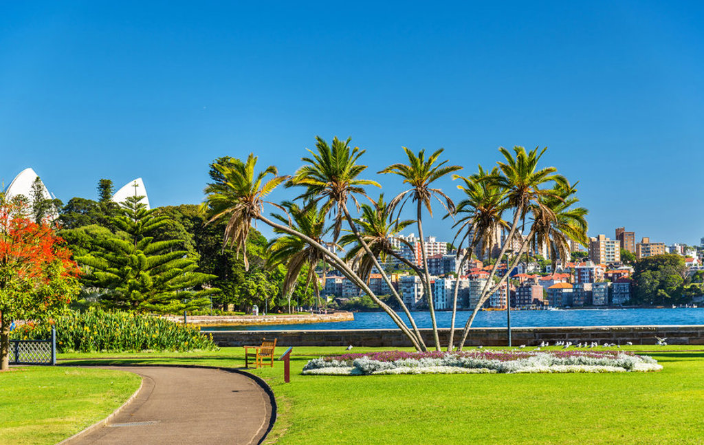 Palmbomen en park aan de haven met uitzicht op de skyline van Sydney tijdens een 22-35ers reis Australië.
