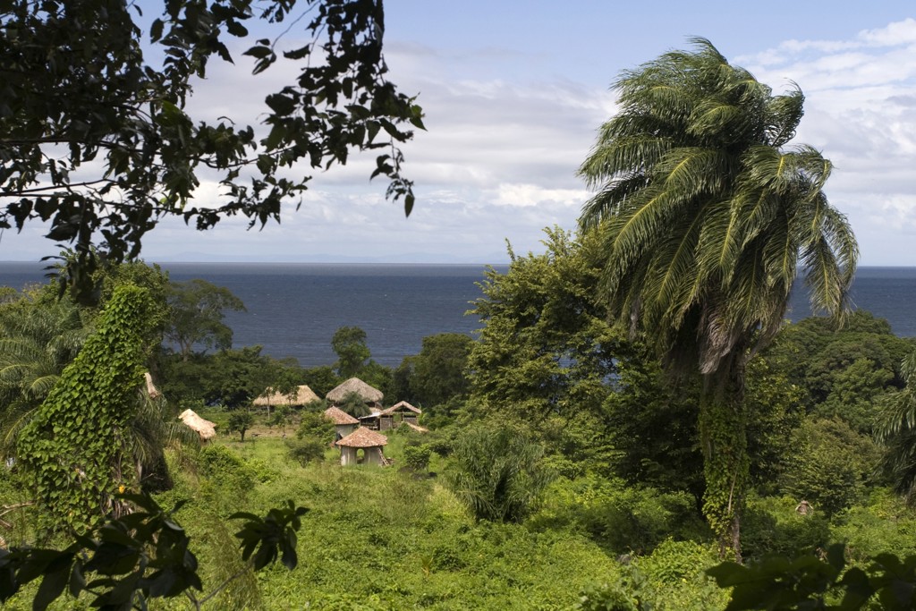 Groene kustlandschap met palmbomen en rieten hutten aan zee tijdens groepsrondreis Nicaragua en Costa Rica.