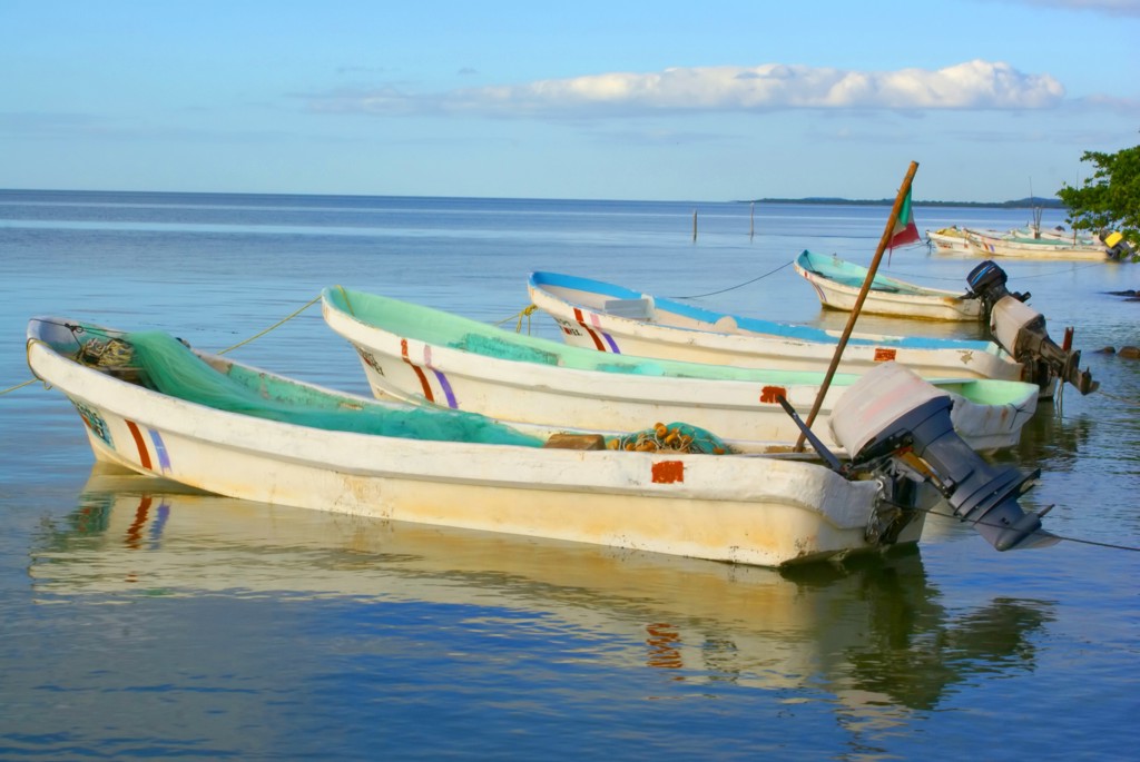 Vissersbootjes op rustig water aan de kust van Mexico tijdens familiereis Mexico hoogtepunten.