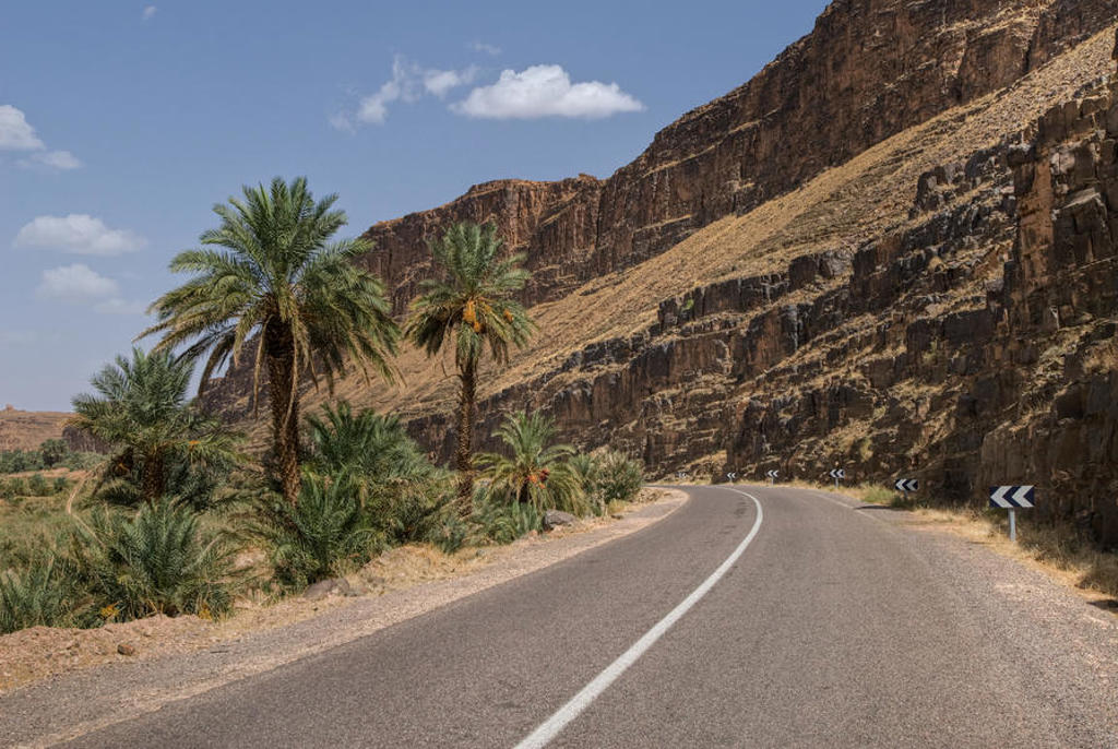 Kronkelende weg door een rotsachtige kloof met palmbomen in Marokko.