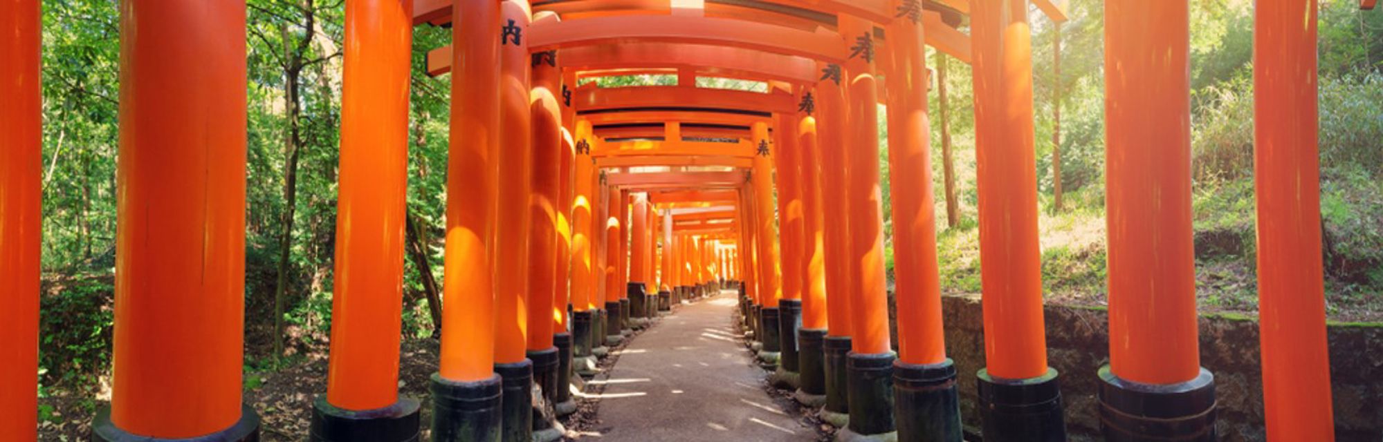Rij feloranje torii-poorten langs een wandelpad bij Fushimi Inari-taisha in Kyoto, Japan.