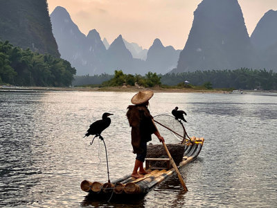 Visser op bamboevlot met aalscholvers op de Li-rivier bij Guilin, tijdens groepsrondreis China.