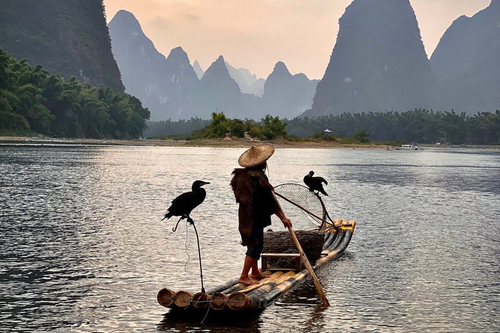 Visser op bamboevlot met aalscholvers op de Li-rivier bij Guilin, tijdens groepsrondreis China.