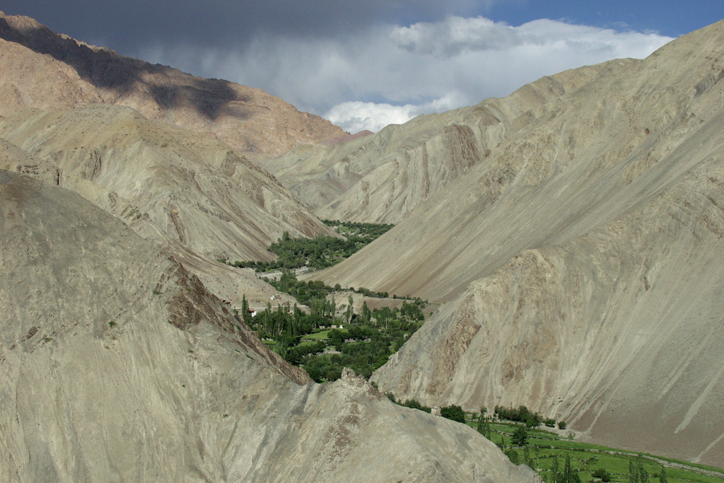 Groene vallei tussen kale bergen in Ladakh, India, tijdens groepsrondreis Spiti & Ladakh.